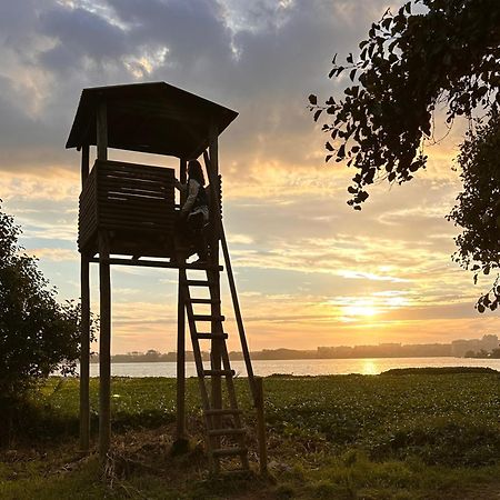 Casa Do Areal, Refugio Das Rotas Pedestres Em Mira Міра Екстер'єр фото